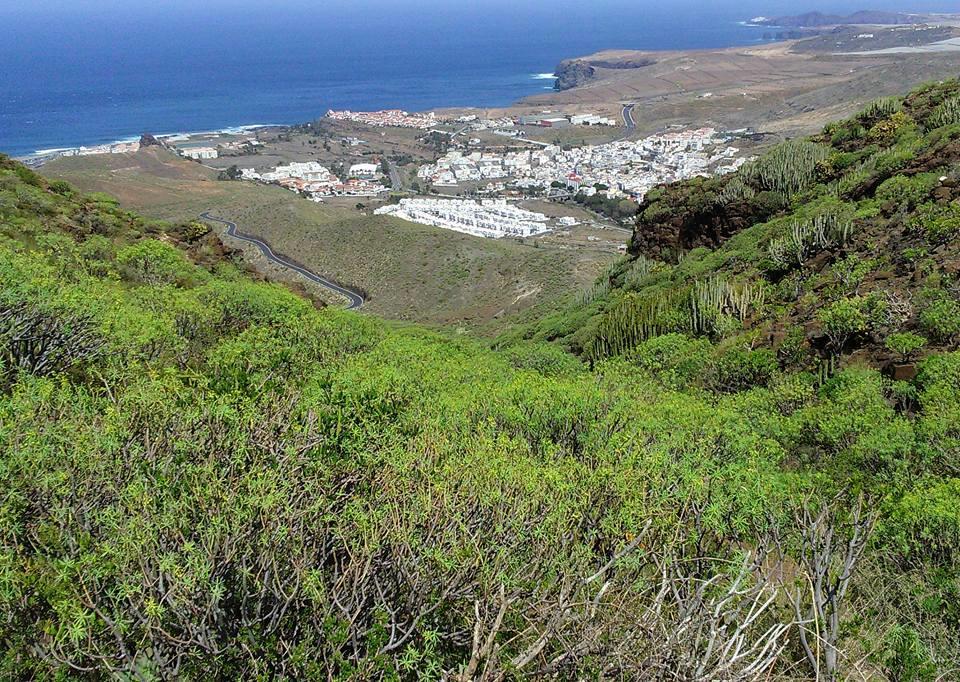 Apartamento Playa Agaete Agaete  Esterno foto